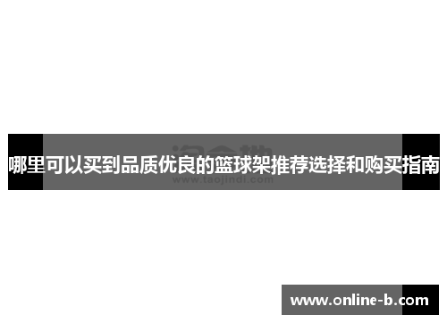 哪里可以买到品质优良的篮球架推荐选择和购买指南